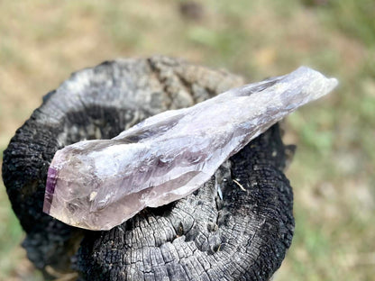 Dragon Tooth Amethyst and Ametrine Quartz Natural Point