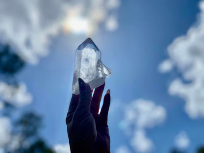 Lemurian Seed Quartz With Bridge and Dolphin