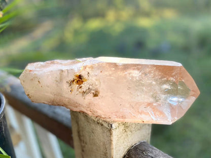 Tangerine Lemurian Seed Quartz Natural Point