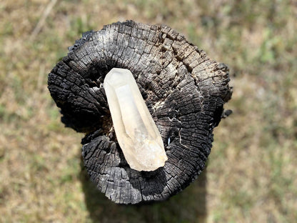 Shamanic Phantom Dream Lemurian Quartz with Pleiadian Starbrary