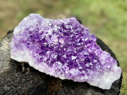 Amethyst Cluster
