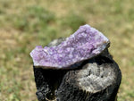 Amethyst Cluster