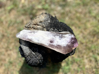Dragon Tooth Amethyst and Ametrine Quartz Natural Point