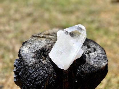 Inner Child Lemurian Seed Quartz
