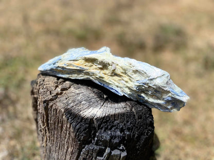 Blue Kyanite Blade Cluster with Quartz and Mica