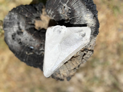 Lemurian Seed Quartz Point