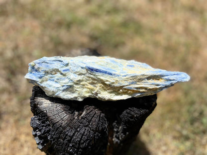 Blue Kyanite Blade Cluster with Quartz and Mica