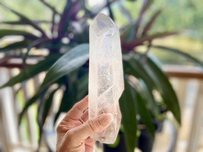 Lemurian Seed Quartz Imprint Channeler Natural Point