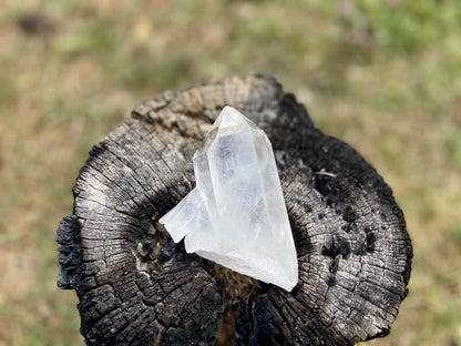 Lemurian Seed Quartz With Bridge and Dolphin