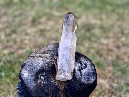Natural Citrine Pleiadian Starbrary Point Crystal Brazil