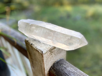Lemurian Seed Quartz Imprint Channeler Natural Point