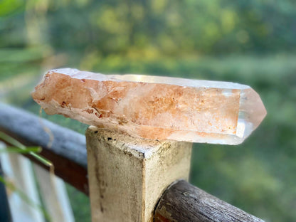 Tangerine Lemurian Seed Quartz Natural Point