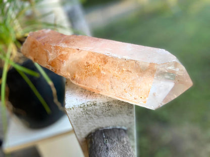Tangerine Lemurian Seed Quartz Natural Point