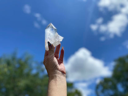Lemurian Seed Quartz With Bridge and Dolphin