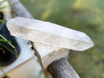 Lemurian Seed Quartz Imprint Channeler Natural Point