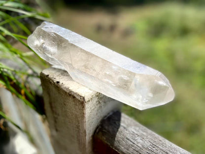 Lemurian Seed Quartz Imprint Channeler Natural Point