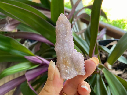 Spirit Quartz With Amethyst and Citrine Natural Point
