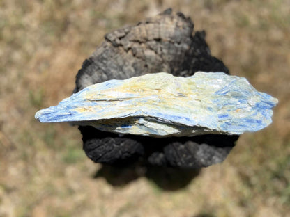 Blue Kyanite Blade Cluster with Quartz and Mica