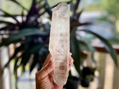 Lemurian Seed Quartz Imprint Channeler Natural Point
