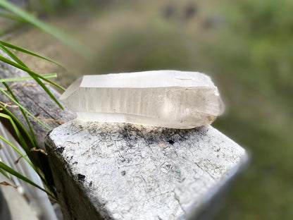 Shamanic Phantom Dream Lemurian Quartz with Pleiadian Starbrary