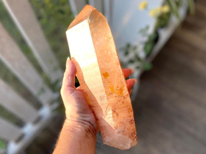 Tangerine Lemurian Seed Quartz Natural Point
