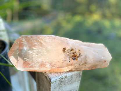Tangerine Lemurian Seed Quartz Natural Point