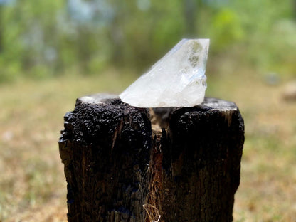 Lemurian Seed Quartz Point