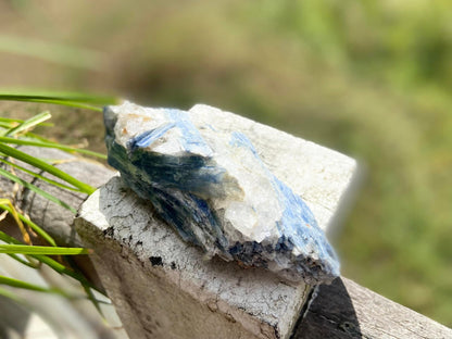 Blue Kyanite Blade Cluster with Black Tourmaline Mica and Quartz