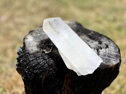 Lemurian Seed Quartz Point