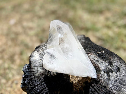 Lemurian Seed Quartz Point