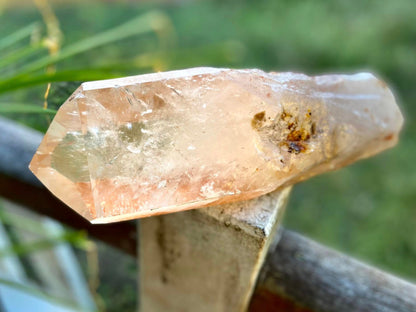 Tangerine Lemurian Seed Quartz Natural Point