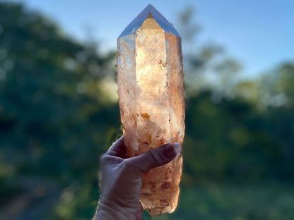 Tangerine Lemurian Seed Quartz Natural Point