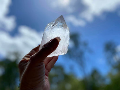 Lemurian Seed Ascending Cathedral Channeler