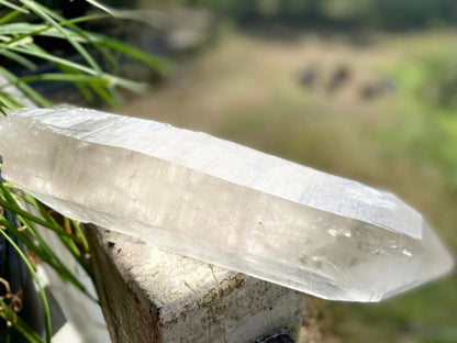 Lemurian Seed Quartz Imprint Channeler Natural Point
