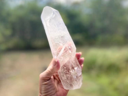 Lemurian Seed Quartz Imprint Channeler Natural Point
