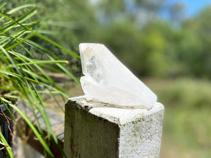 Lemurian Seed Quartz Point