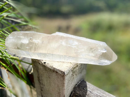 Lemurian Seed Quartz Imprint Channeler Natural Point