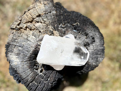 Inner Child Lemurian Seed Quartz