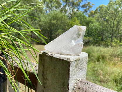 Lemurian Seed Quartz Point