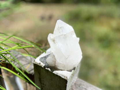 Inner Child Lemurian Seed Quartz