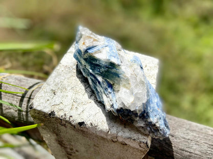 Blue Kyanite Blade Cluster with Black Tourmaline Mica and Quartz