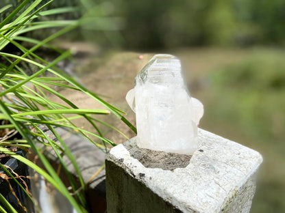 Inner Child Lemurian Seed Quartz
