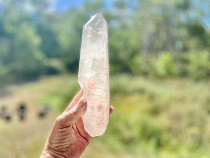 Lemurian Seed Quartz Imprint Channeler Natural Point