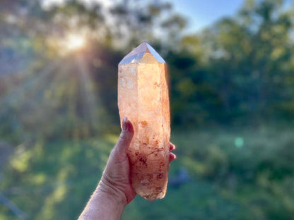Tangerine Lemurian Seed Quartz Natural Point