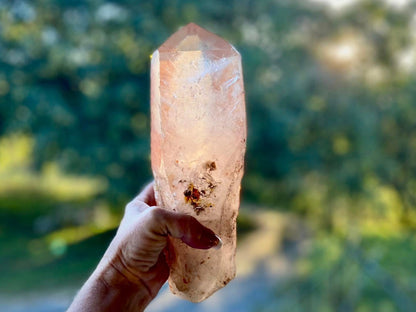 Tangerine Lemurian Seed Quartz Natural Point