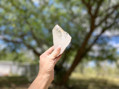 Lemurian Seed Quartz Point