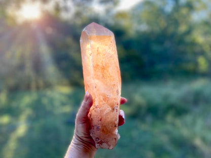 Tangerine Lemurian Seed Quartz Natural Point