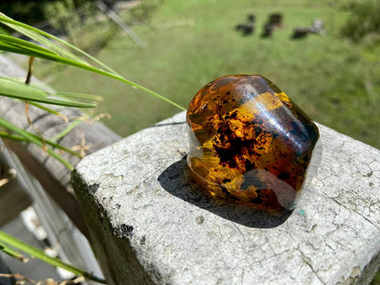 Polished Honey Amber (full of bugs) UV Sensitive