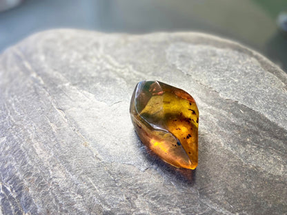 Polished Honey Amber (full of bugs) UV Sensitive