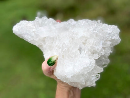 Lemurian Seed Quartz Cluster A+ Grade